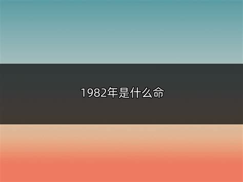 1982是什么年|1982年是什么年